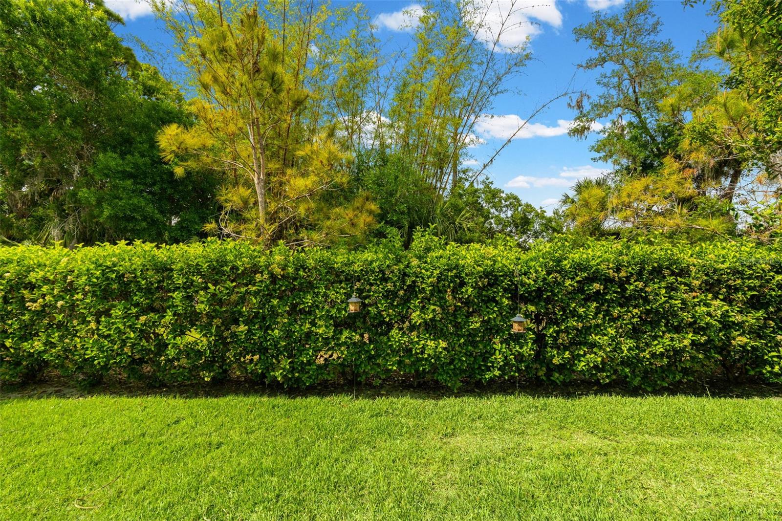 AMBERLY PH I - Residential