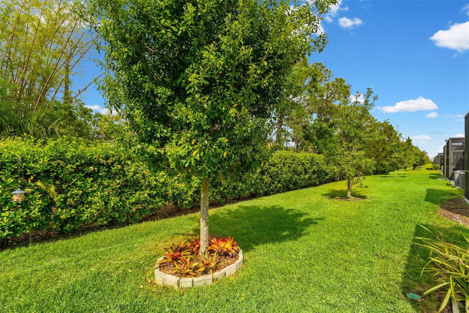 AMBERLY PH I - Residential