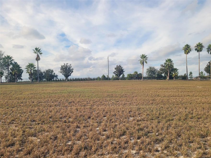 Discover an exceptional opportunity to build your dream home on this pristine 0.72-acre lot in the exclusive, gated community of Garden City, Groveland, FL. Bordered by a mature tree nursery, this scenic property offers natural beauty and privacy while surrounded by distinctive upscale homes, providing peaceful country living with complete security. Choose your own builder and create the home you envision. Community standards require a minimum of 3,000 square feet of living space, tile or metal roofing, and allow up to two-story construction. Electricity and city water are already available at the lot. Garden City delivers the best of both worlds—serene country living with convenient access to everything. You're just 45 minutes from Orlando International Airport, Walt Disney World, and Central Florida's attractions, with easy access to Florida's Turnpike, Highway 27, and Interstate 75. Create your custom estate where tranquility meets accessibility.