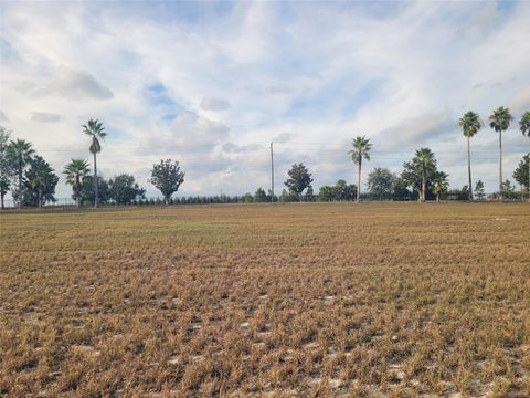 Photo of 7425 Jasmine Street, Groveland, FL 34736 (MLS # O6365756)