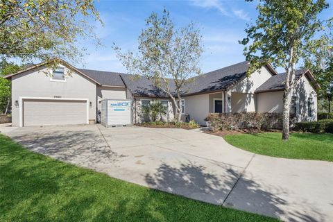 Tiny photo for 17660 County Road 455, Montverde, FL 34756 (MLS # O6358220)