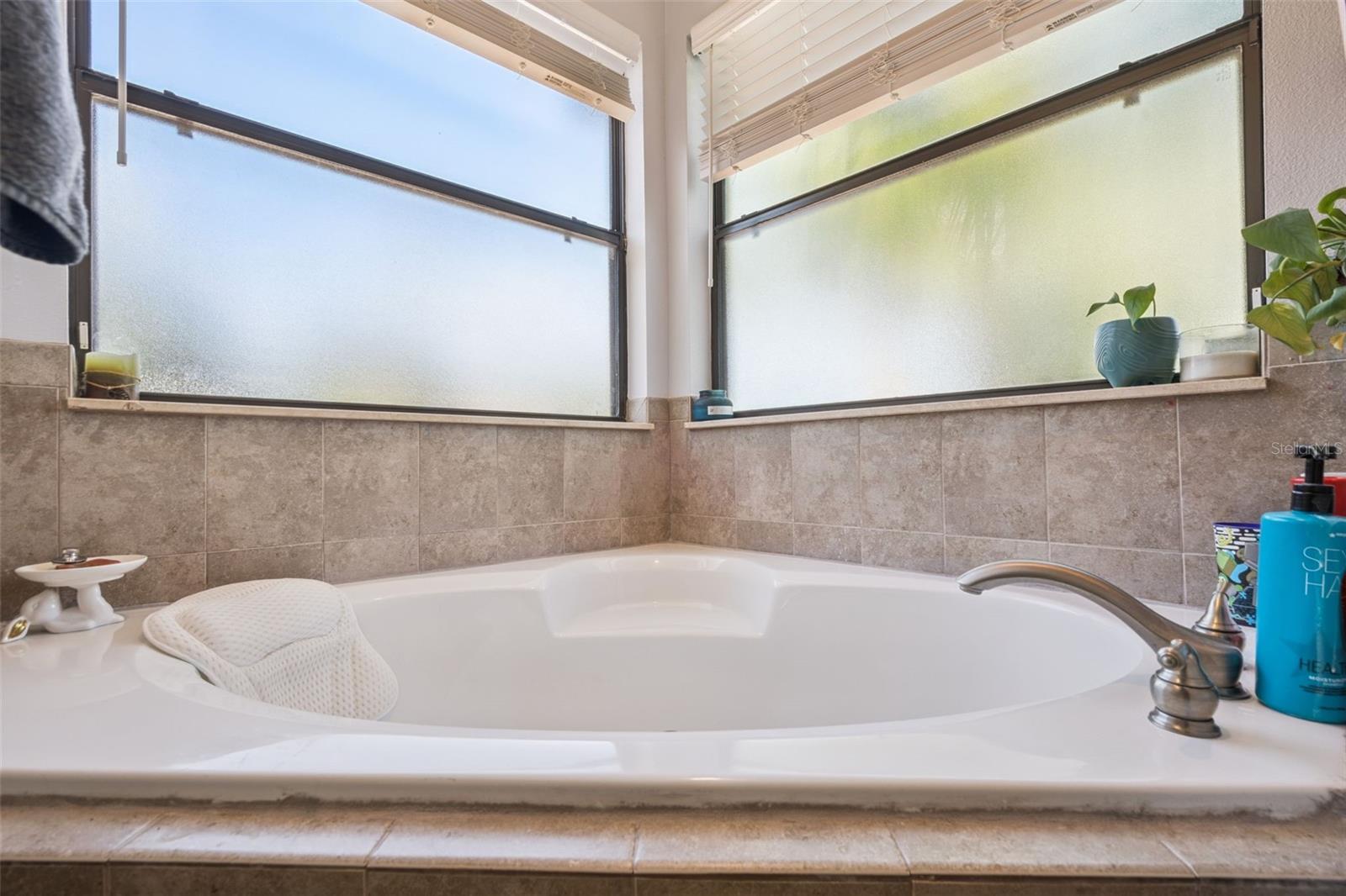 MONTVERDE WOODS - Residential