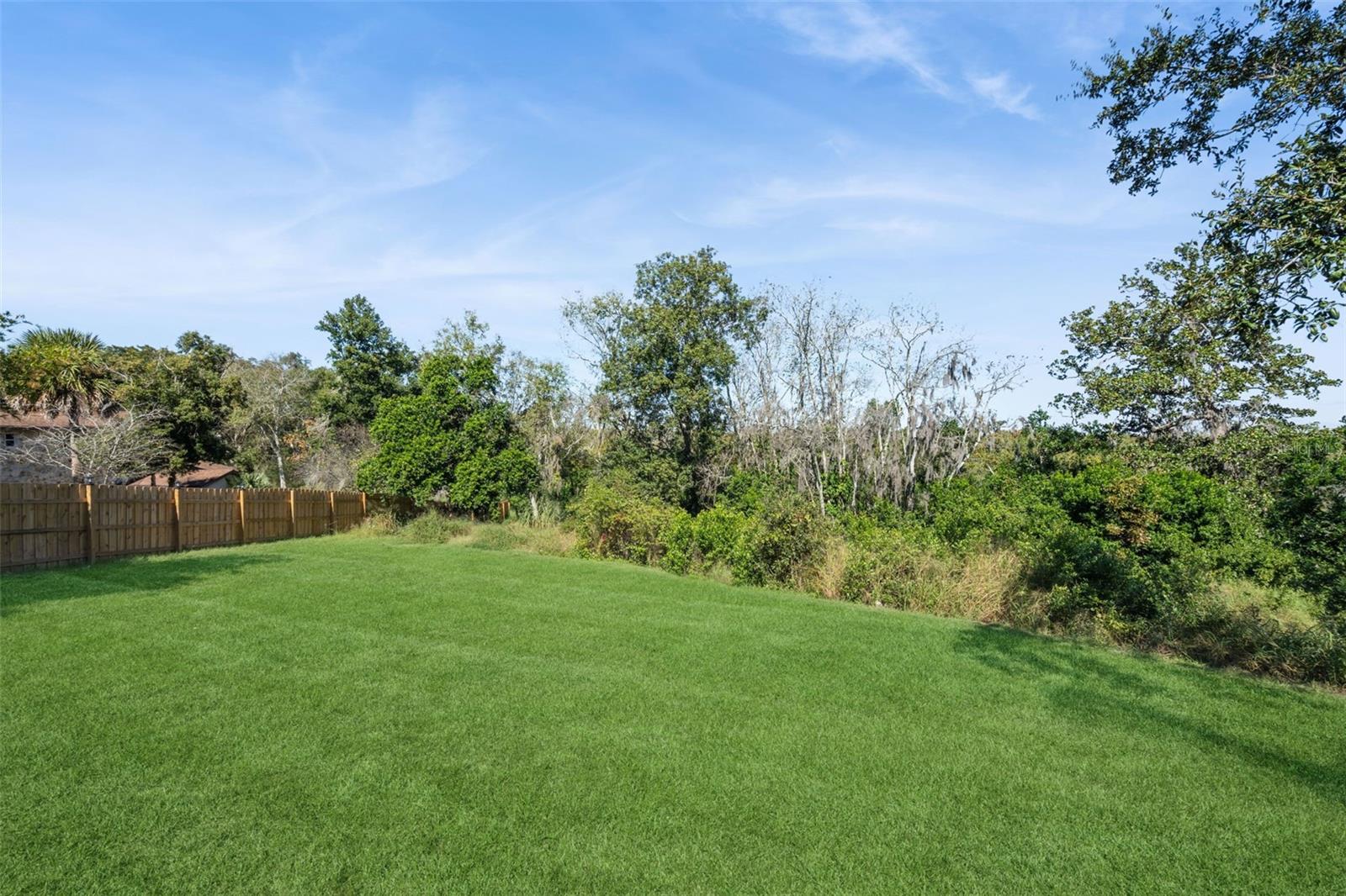 MONTVERDE WOODS - Residential