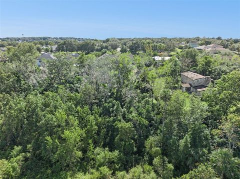 Tiny photo for 17660 County Road 455, Montverde, FL 34756 (MLS # O6358220)