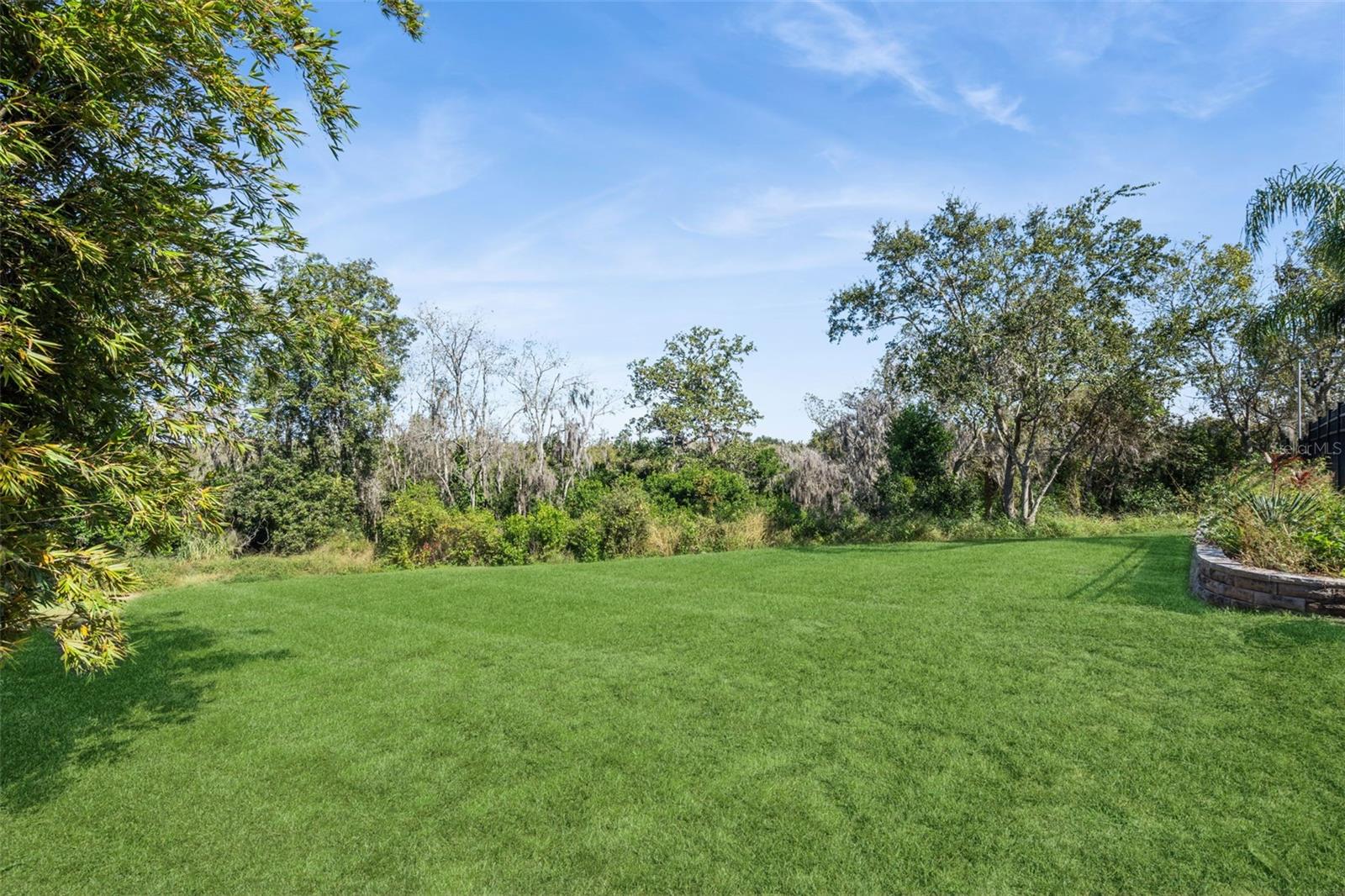 MONTVERDE WOODS - Residential