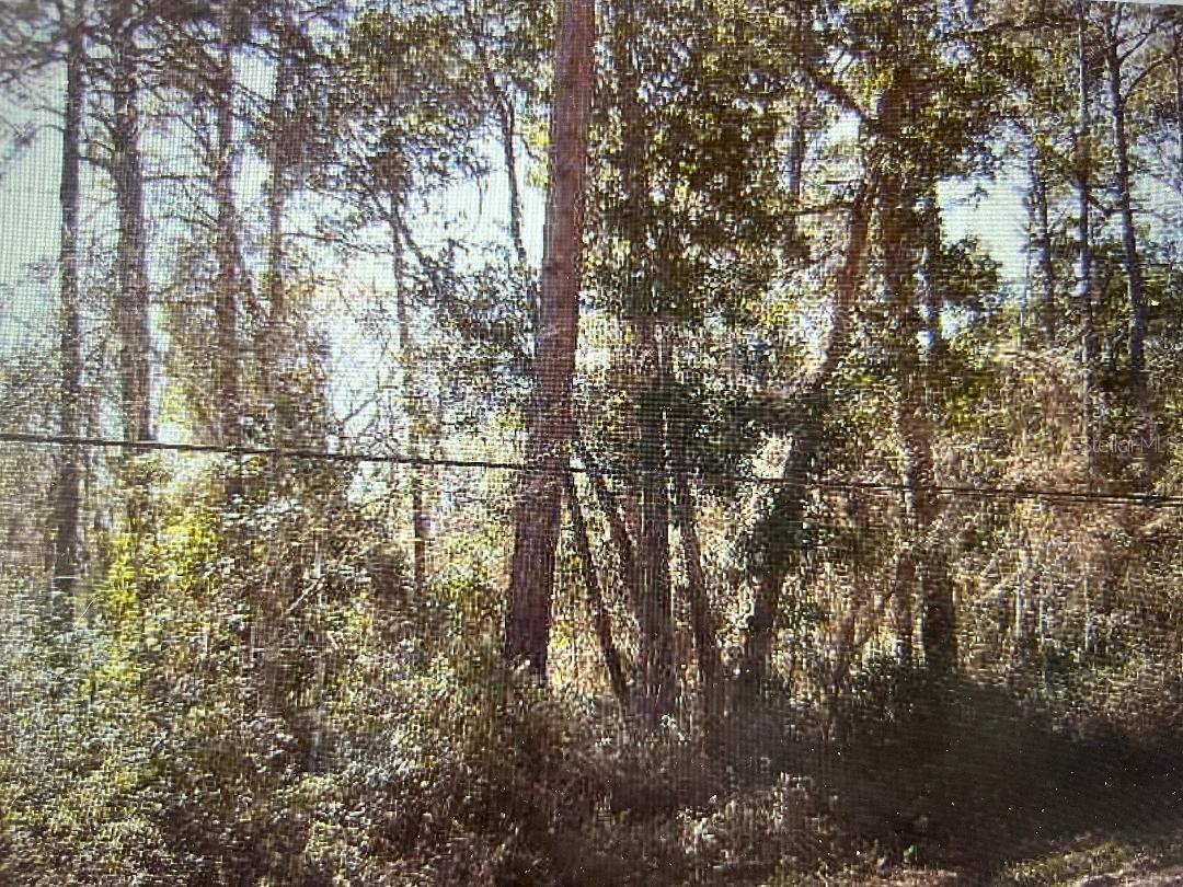 JACKSONVILLE SOUTH - Land