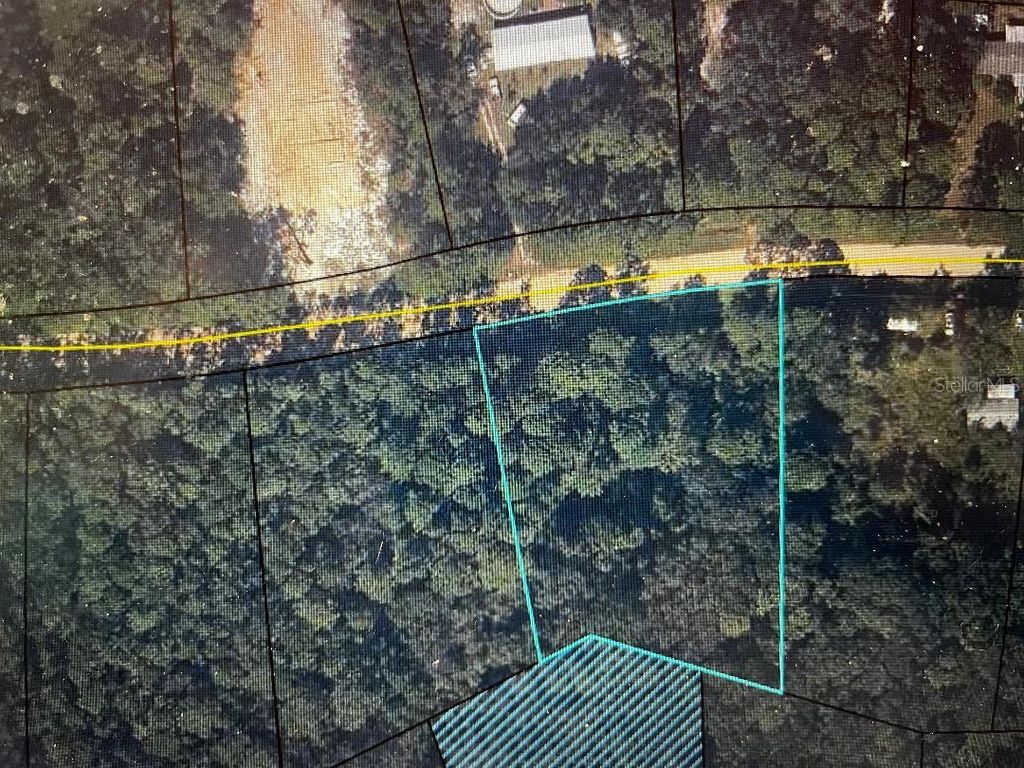 Photo of 83 Sorrel Street, Middleburg, FL 32068 (MLS # OM717031)