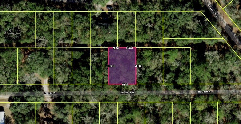 Photo of NE 112th Terrace, Fort Mccoy, FL 32134 (MLS # O6418292)