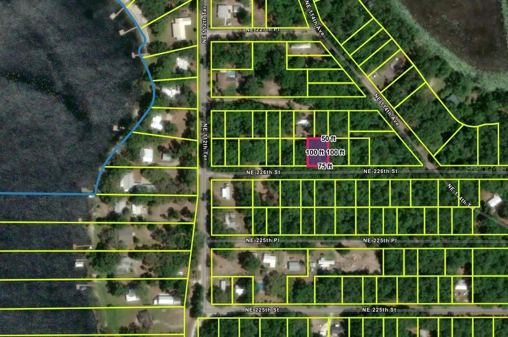 Photo of NE 112th Terrace, Fort Mccoy, FL 32134 (MLS # O6418292)