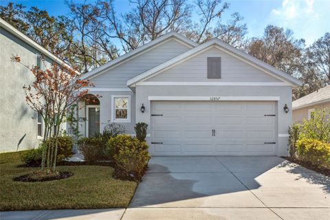 A home in WESLEY CHAPEL