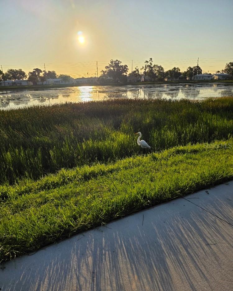 MAINLANDS OF TAMARAC BY THE GULF TWO CONDO - Residential