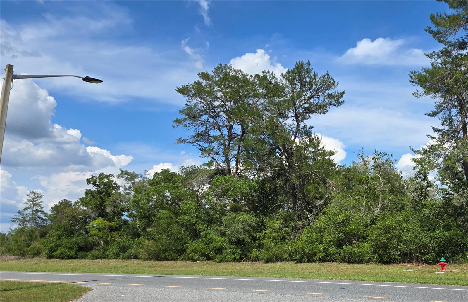 MARION OAKS UN 04 - Land