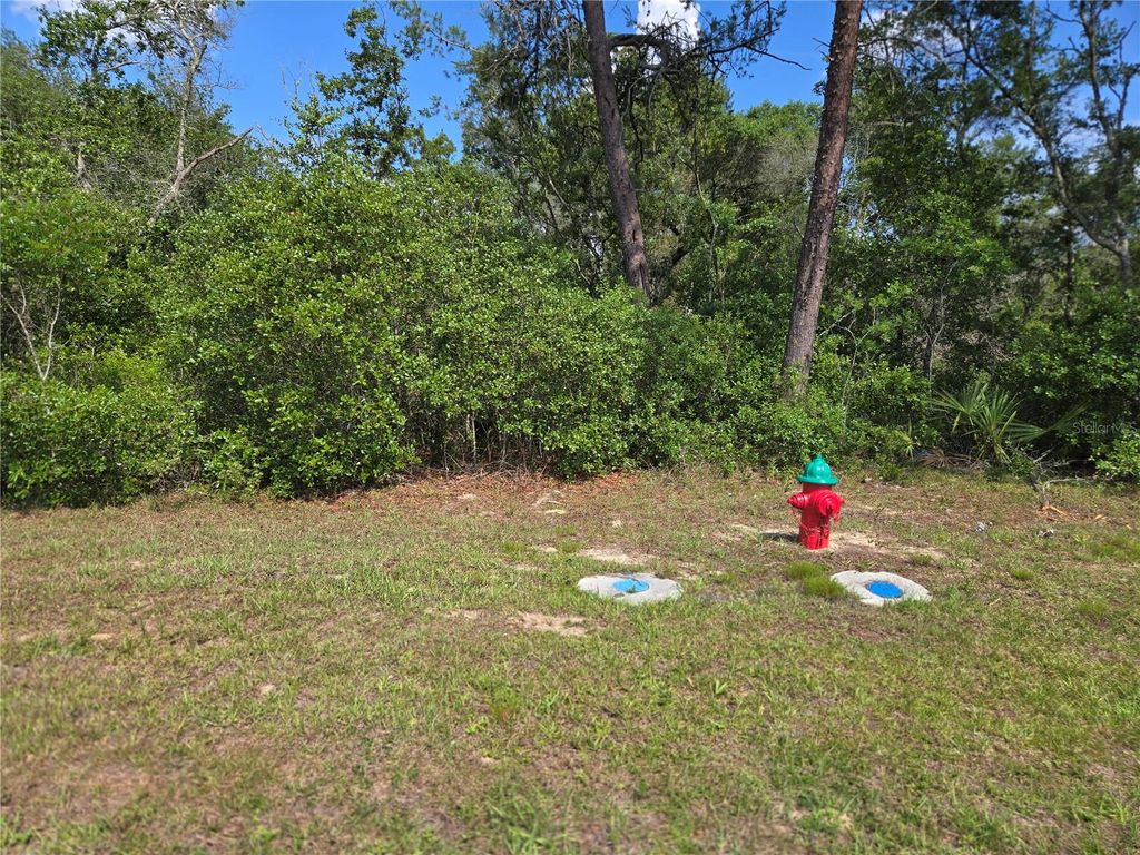 Photo of 00 Marion Oaks Boulevard, Ocala, FL 34473 (MLS # TB8513009)