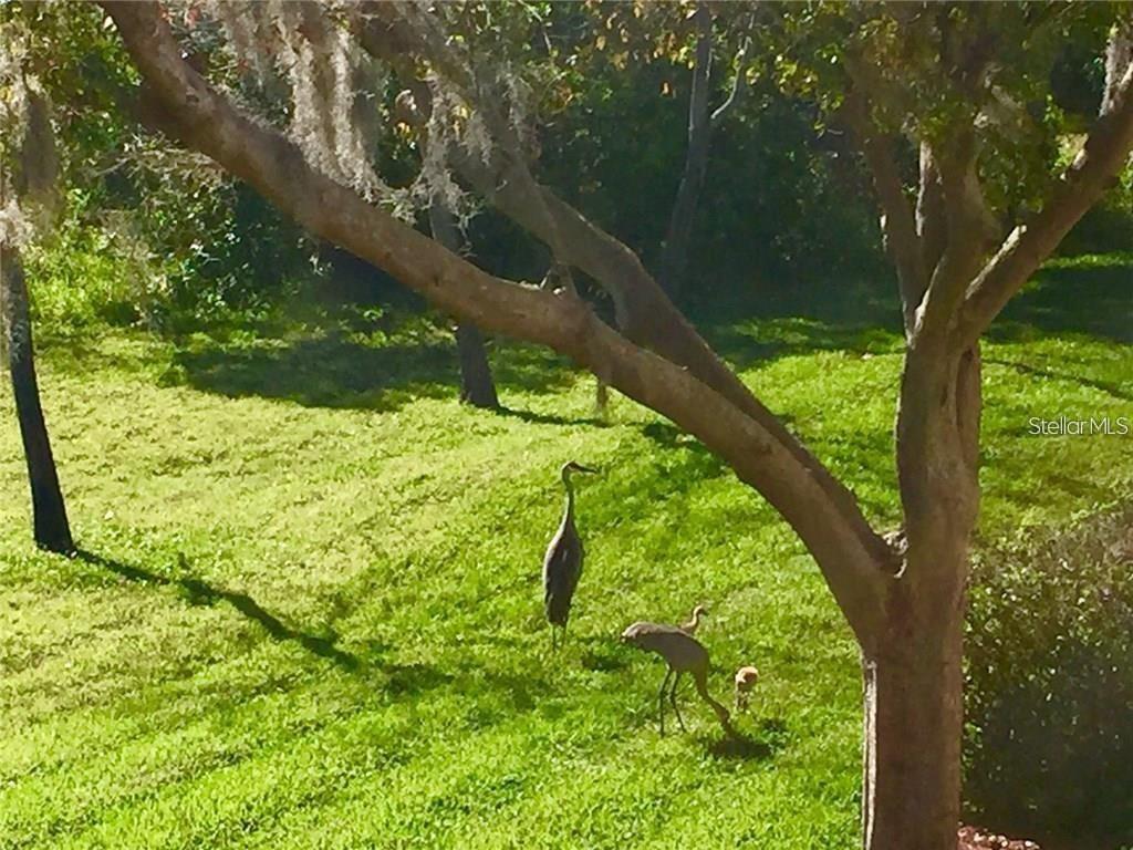 PALM VILLAS CONDO - Residential Lease