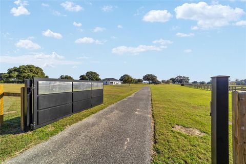 Tiny photo for 11407 N Magnolia Avenue, Ocala, FL 34475 (MLS # OM714298)