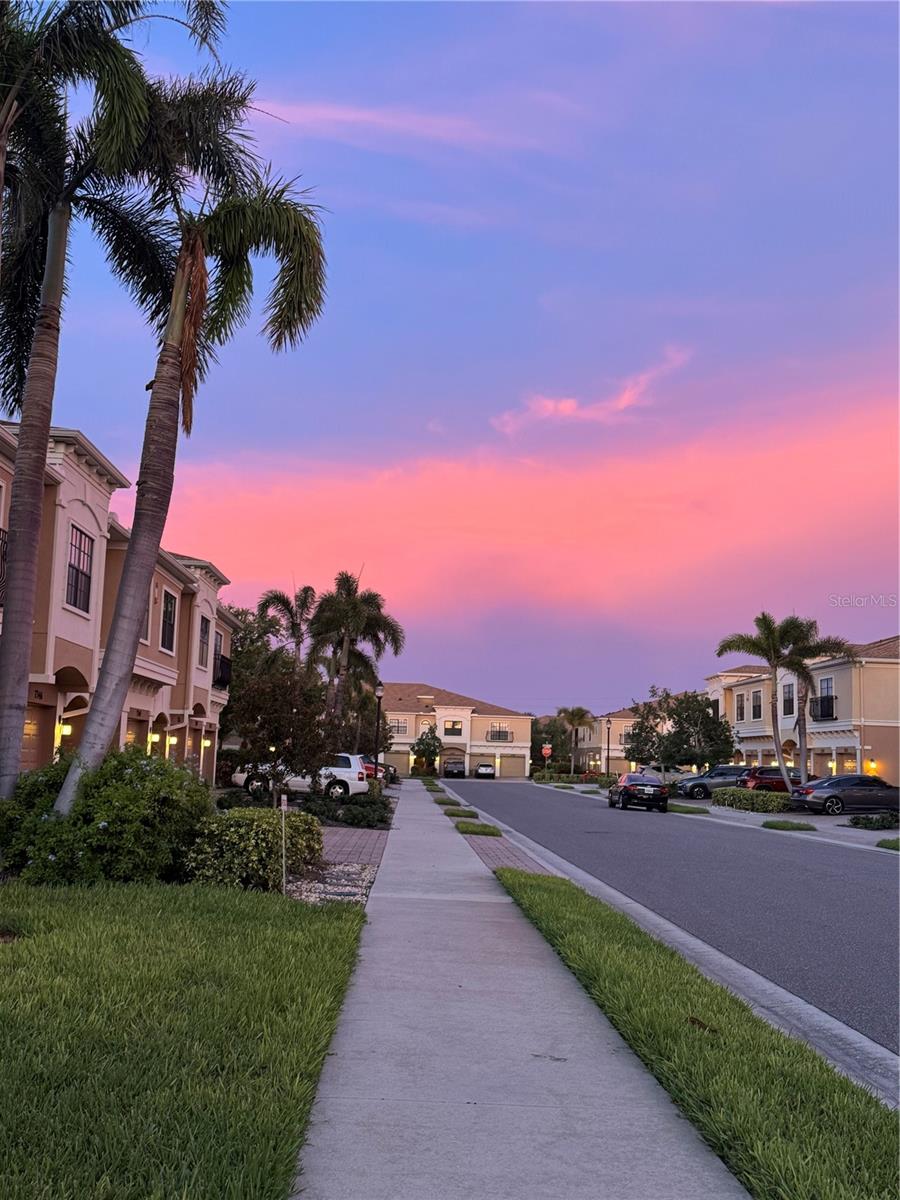 PALMA SOLA TRACE - Residential