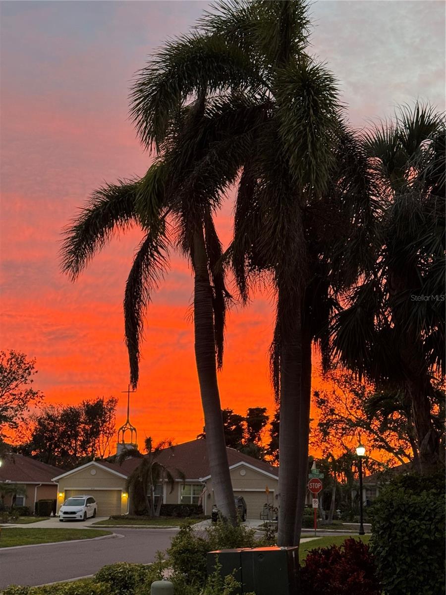 PALMA SOLA TRACE - Residential