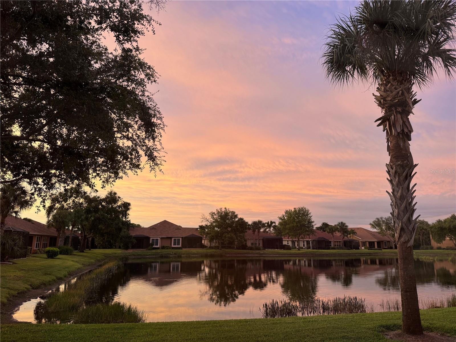 PALMA SOLA TRACE - Residential