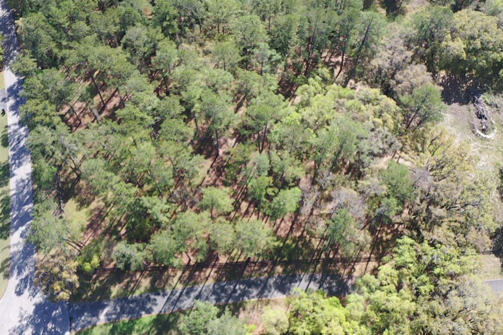 ESTATES/COTTON PLANT - Land