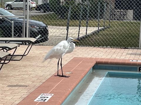 A home in TARPON SPRINGS