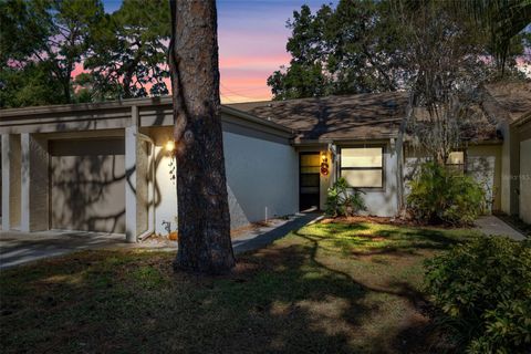 A home in TARPON SPRINGS