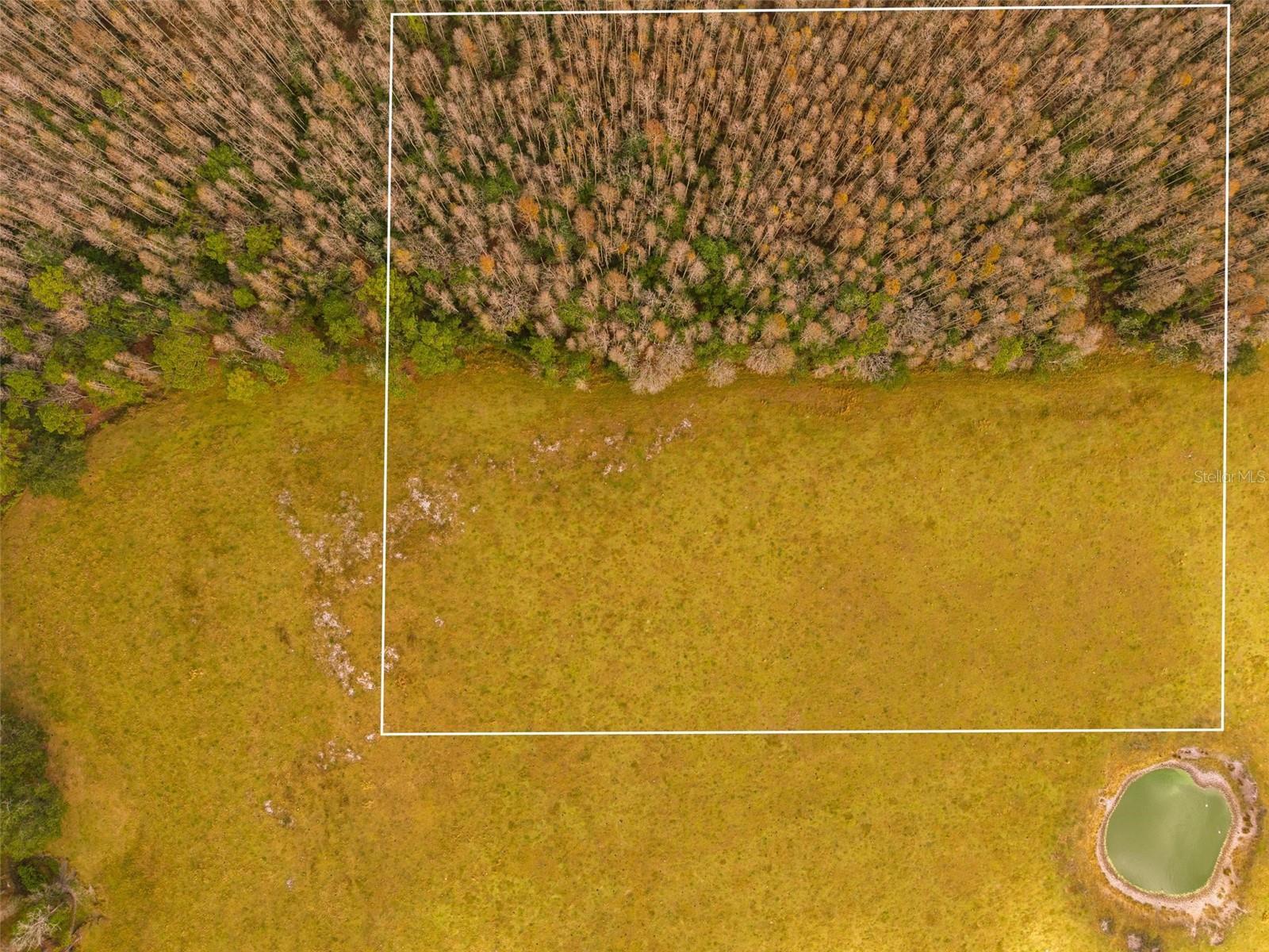 GROVELAND FARMS 30-23-25 - Land