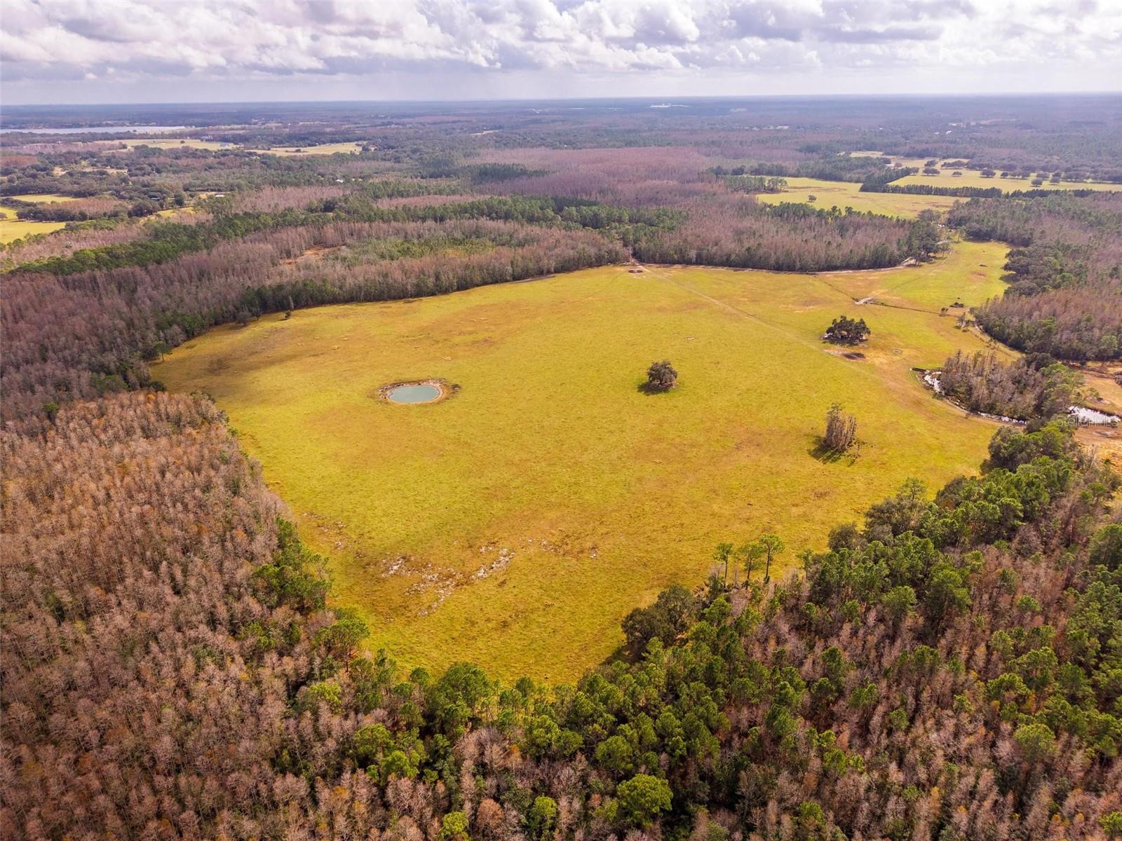 GROVELAND FARMS 30-23-25 - Land