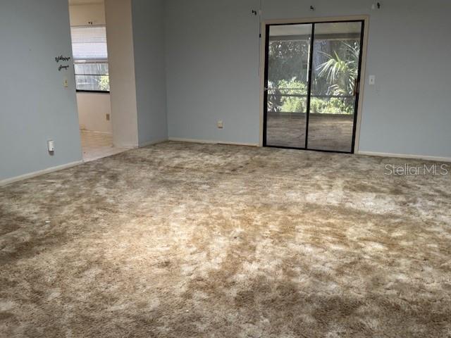2516 PINE TREE
