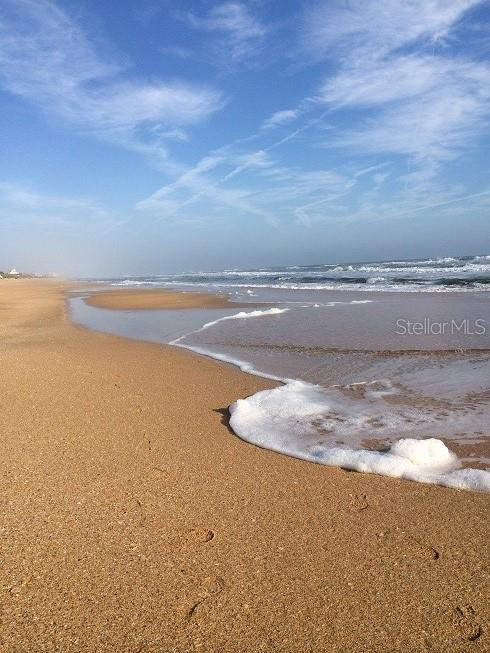 MARINELAND ACRES 1ST ADD - Residential