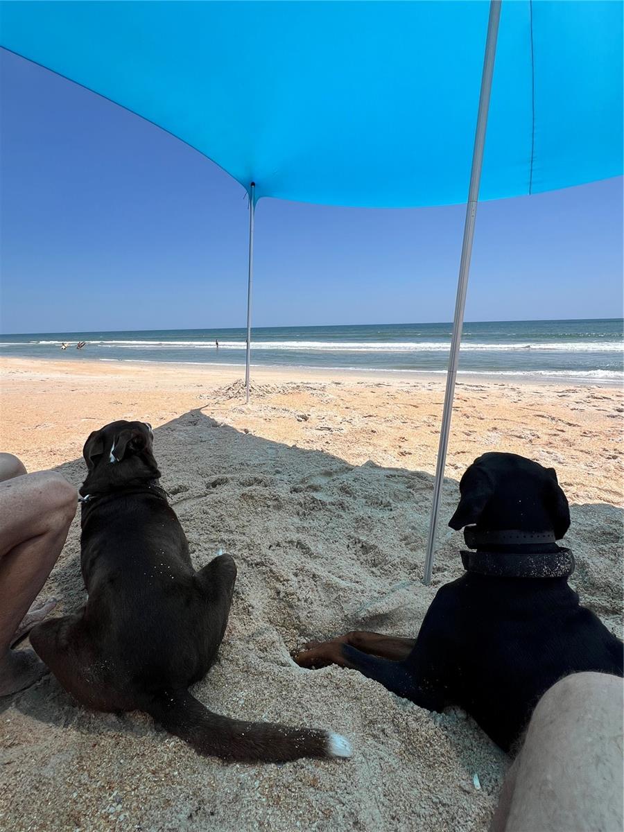 MARINELAND ACRES 1ST ADD - Residential