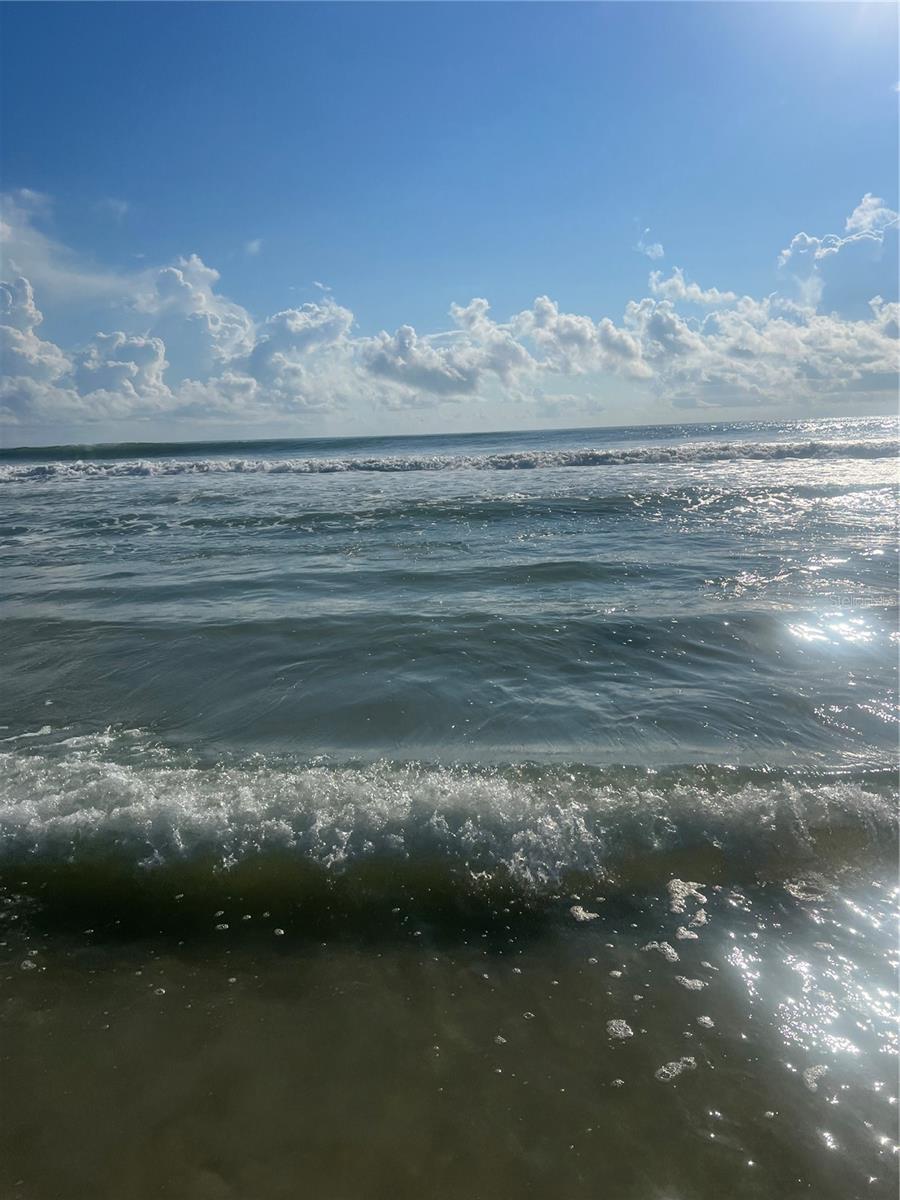 MARINELAND ACRES 1ST ADD - Residential