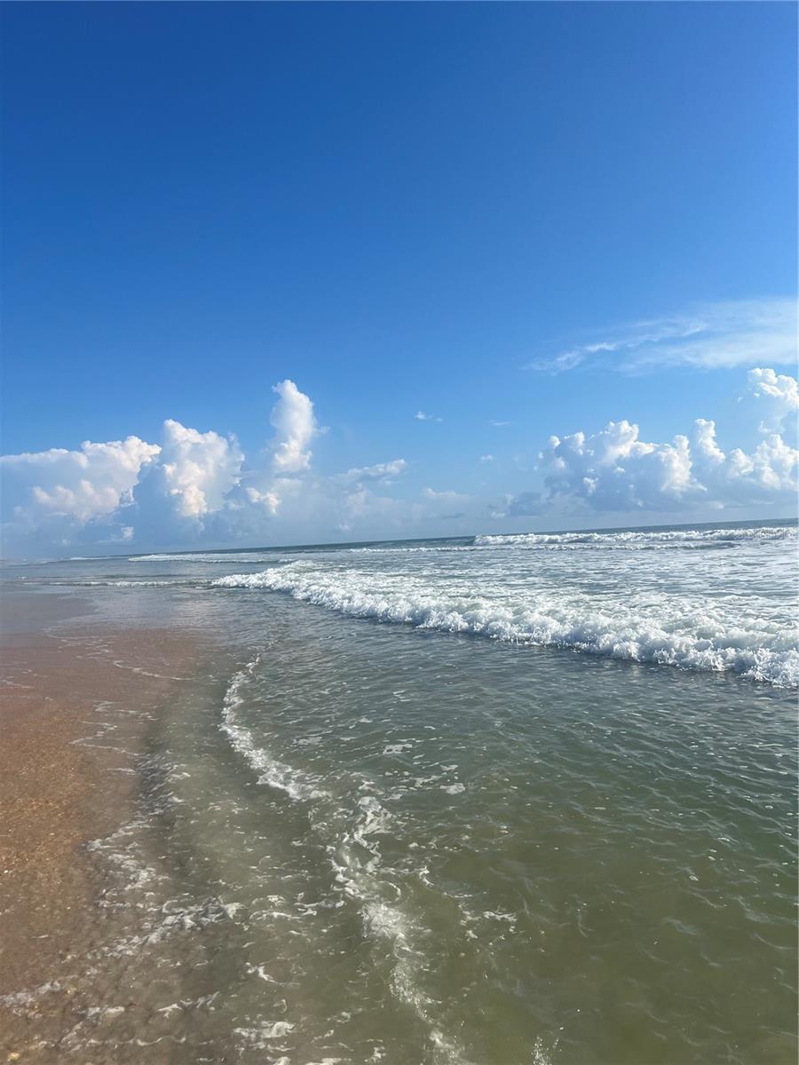 MARINELAND ACRES 1ST ADD - Residential