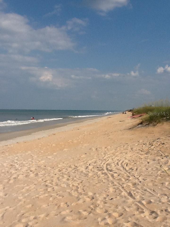 MARINELAND ACRES 1ST ADD - Residential