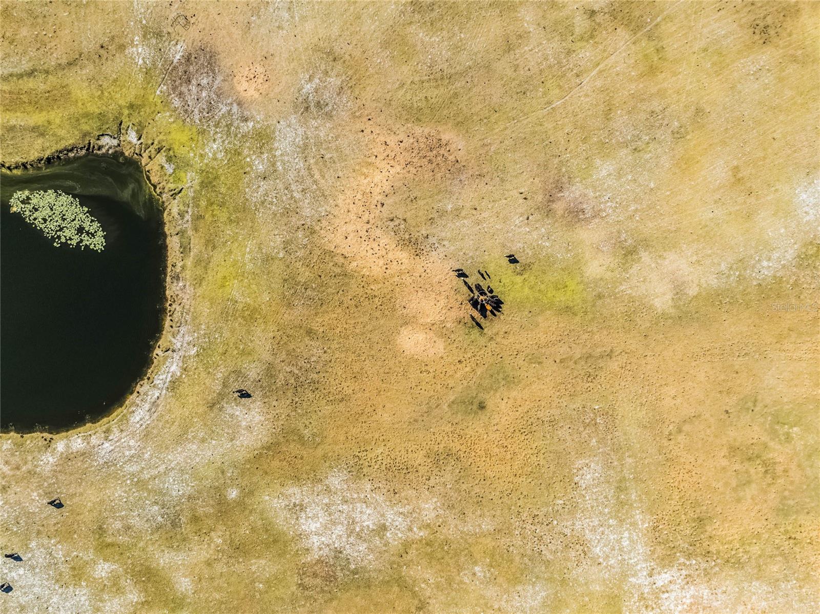 2120 ST JOHNS RIVER ROAD