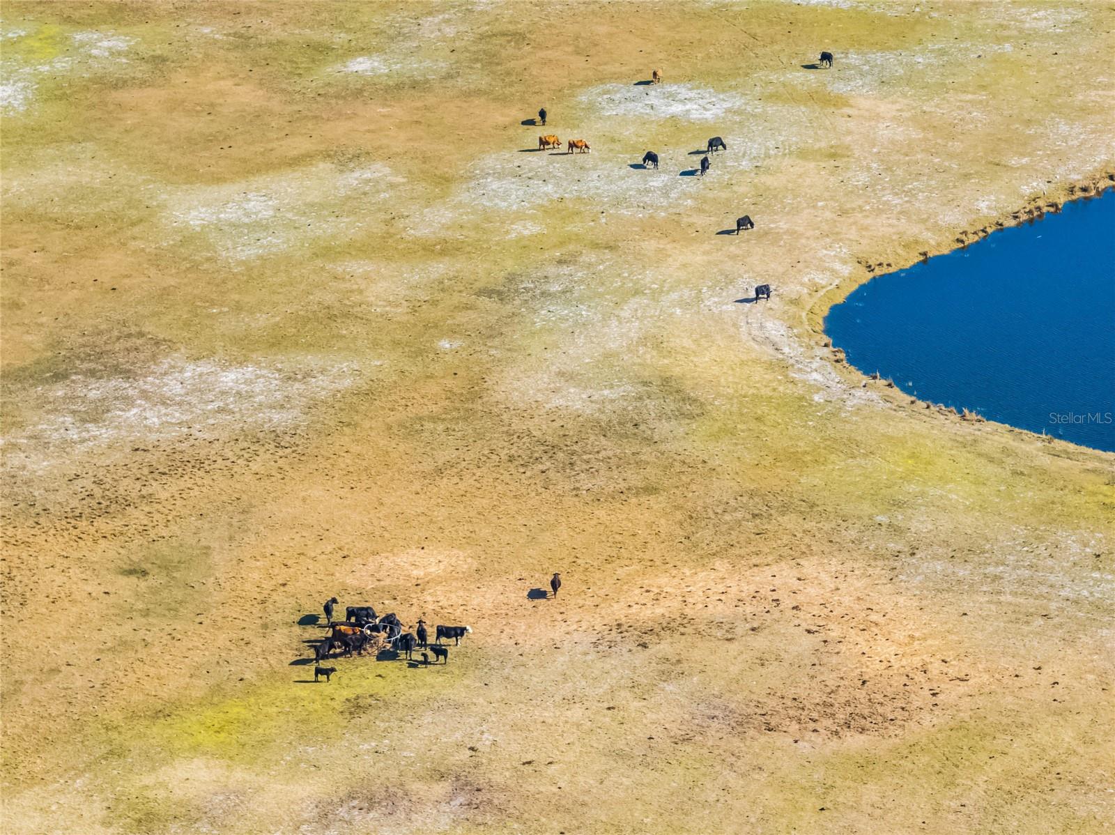 2120 ST JOHNS RIVER ROAD