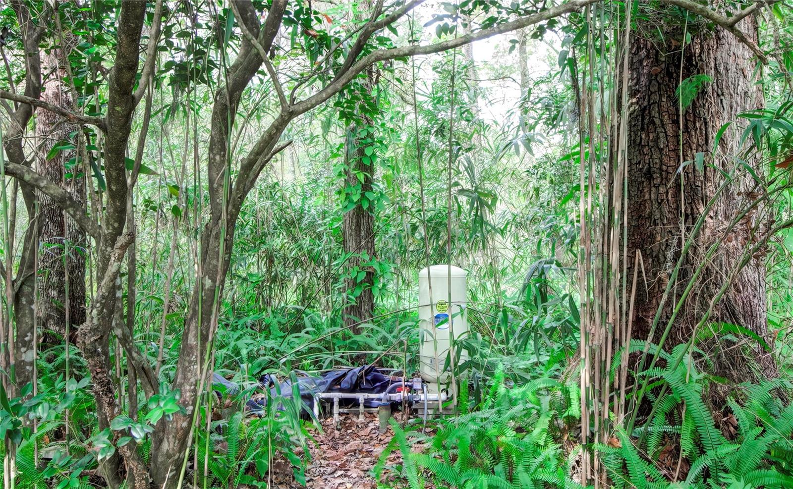 PONCE DELEON TO CO LINE (C981) - Residential