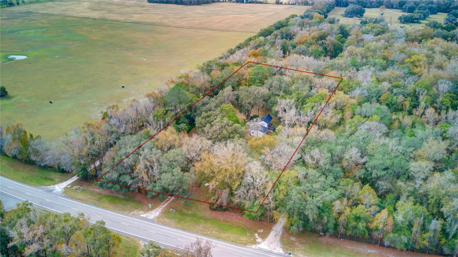 PONCE DELEON TO CO LINE (C981) - Residential