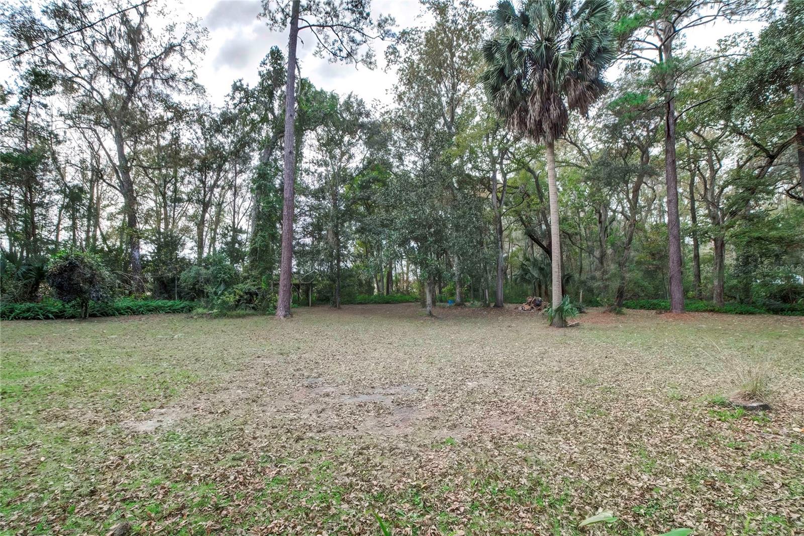 PONCE DELEON TO CO LINE (C981) - Residential