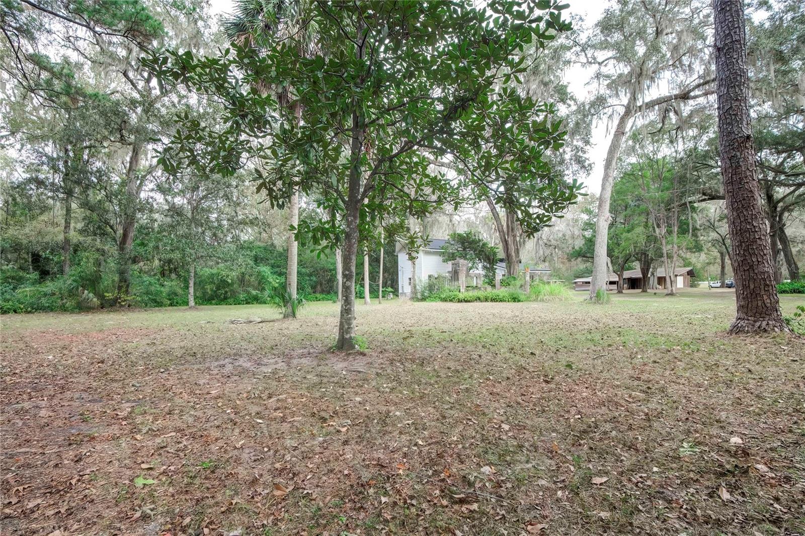 PONCE DELEON TO CO LINE (C981) - Residential