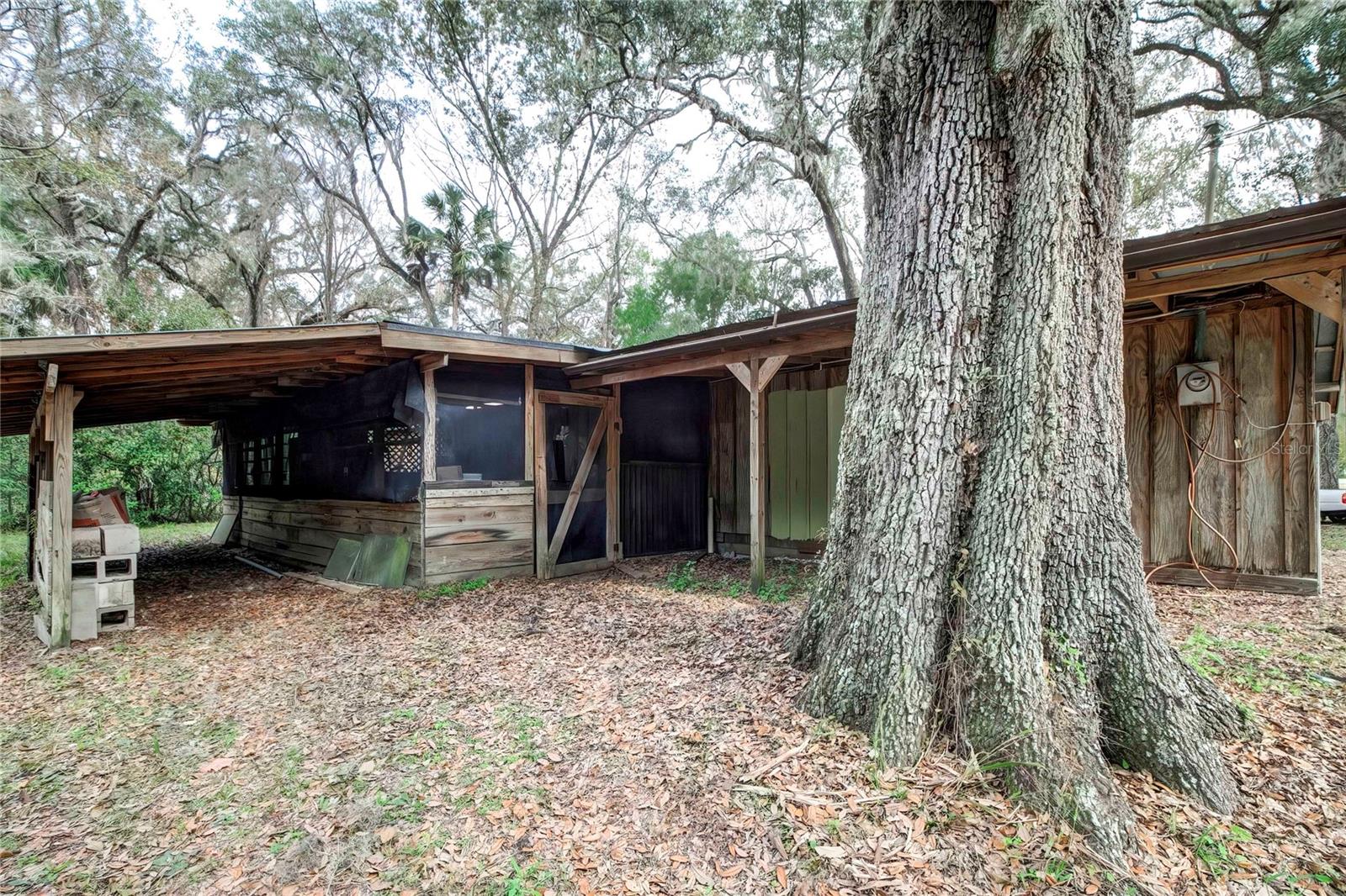 PONCE DELEON TO CO LINE (C981) - Residential