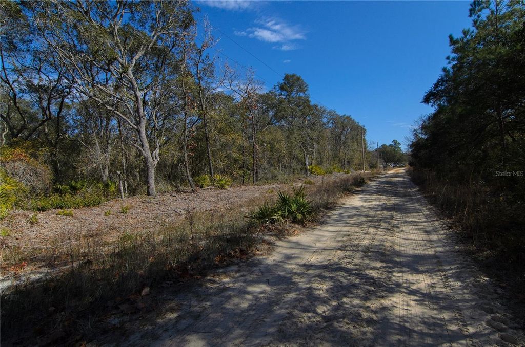 Photo of 206 Tall Pine Trail, Satsuma, FL 32189 (MLS # FC316044)