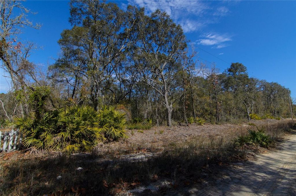 Photo of 206 Tall Pine Trail, Satsuma, FL 32189 (MLS # FC316044)