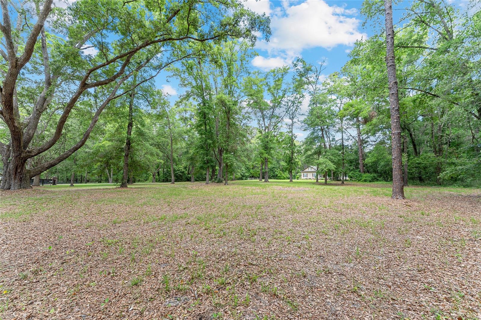 SANTA FE FOREST - Residential