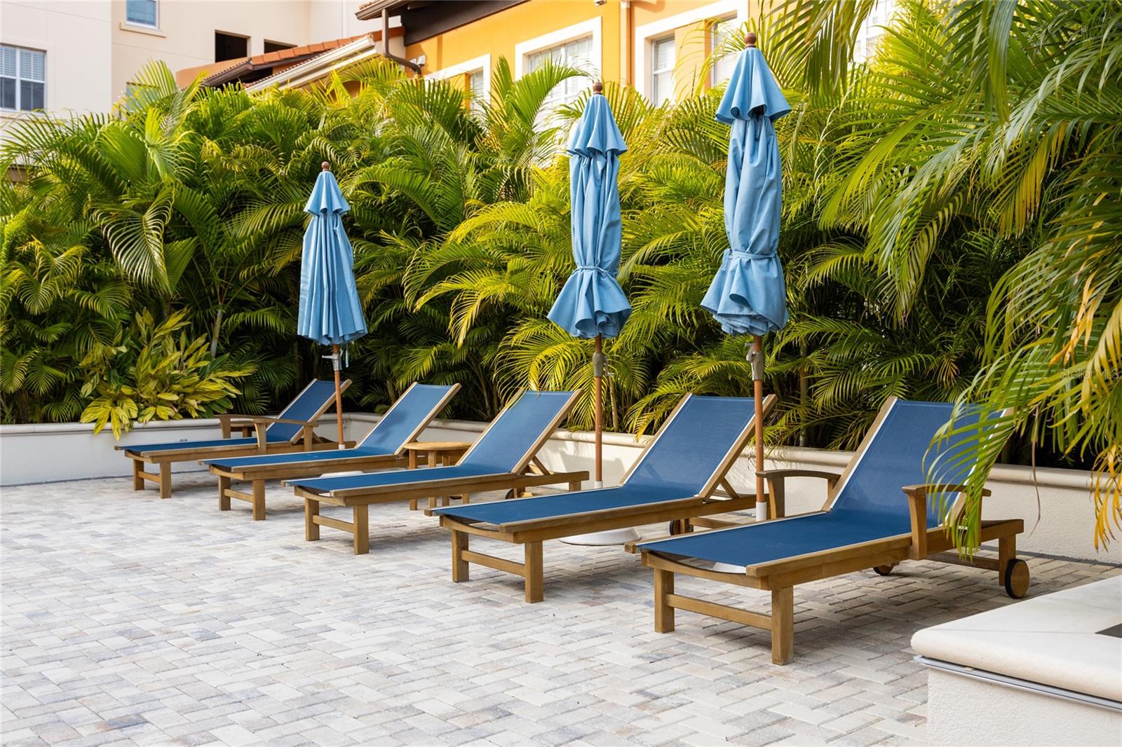 MADISON AT ST PETE - Residential