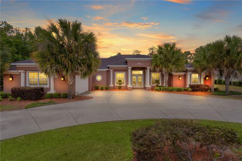 A home in OCALA