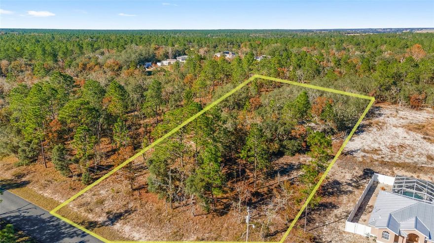 Are you looking for a nice but affordable Acre of land on a PAVED street with electric already on the street? Well, if you are, here it is!!! Check out this beautiful building lot, zoned R-1, conveniently located in Rainbow Lakes Estates. Enjoy small town living in Dunnellon, FL. No HOA, no flood zones! This beautiful lightly wooded property is ready for you to build your dream custom home! Call today to make it yours!!