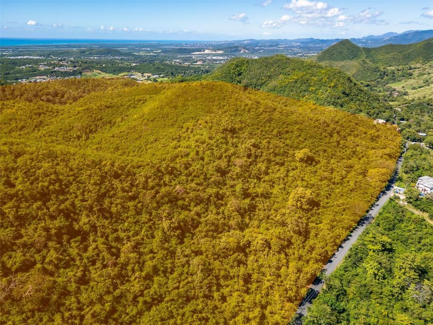 Extraordinary Opportunity – 190-Cuerda Farm in Juana Díaz

Strategically located between the Tijeras and Río Cañas Abajo communities in Juana Díaz, this remarkable property presents a unique opportunity for investors, developers, or large-scale agricultural projects. With approximately 190 cuerdas (about 185 acres), the property offers an impressive land area that provides privacy, space, and significant development potential.

Situated along Puerto Rico Highway 14 Km 17, the property enjoys direct access from one of the main roads connecting the southern municipalities of Juana Díaz, Coamo, and Ponce. It is also conveniently located about 15–20 minutes from Puerto Rico Highway 52, providing easy access to major cities across the island.

The property is zoned R-G (Residential General), allowing for a wide range of potential uses including agricultural ventures, agro-industrial projects, eco-tourism developments, private estates, sustainable communities, or long-term investment opportunities. The land currently does not have water or electricity connections, offering the flexibility to design and develop infrastructure according to the new owner’s vision.

Surrounded by natural beauty and tranquility, this expansive property represents an outstanding opportunity to develop a productive agricultural operation, eco-tourism retreat, or private sustainable estate in one of southern Puerto Rico’s promising areas.
Ideal for investors, agricultural entrepreneurs, or buyers seeking to create a unique project connected to nature.

Contact us for more information or to schedule a private showing.