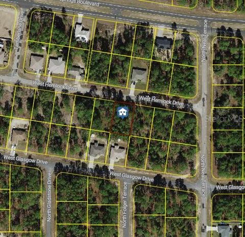 846 W HEMLOCK DRIVE CITRUS SPRINGS FL 34434