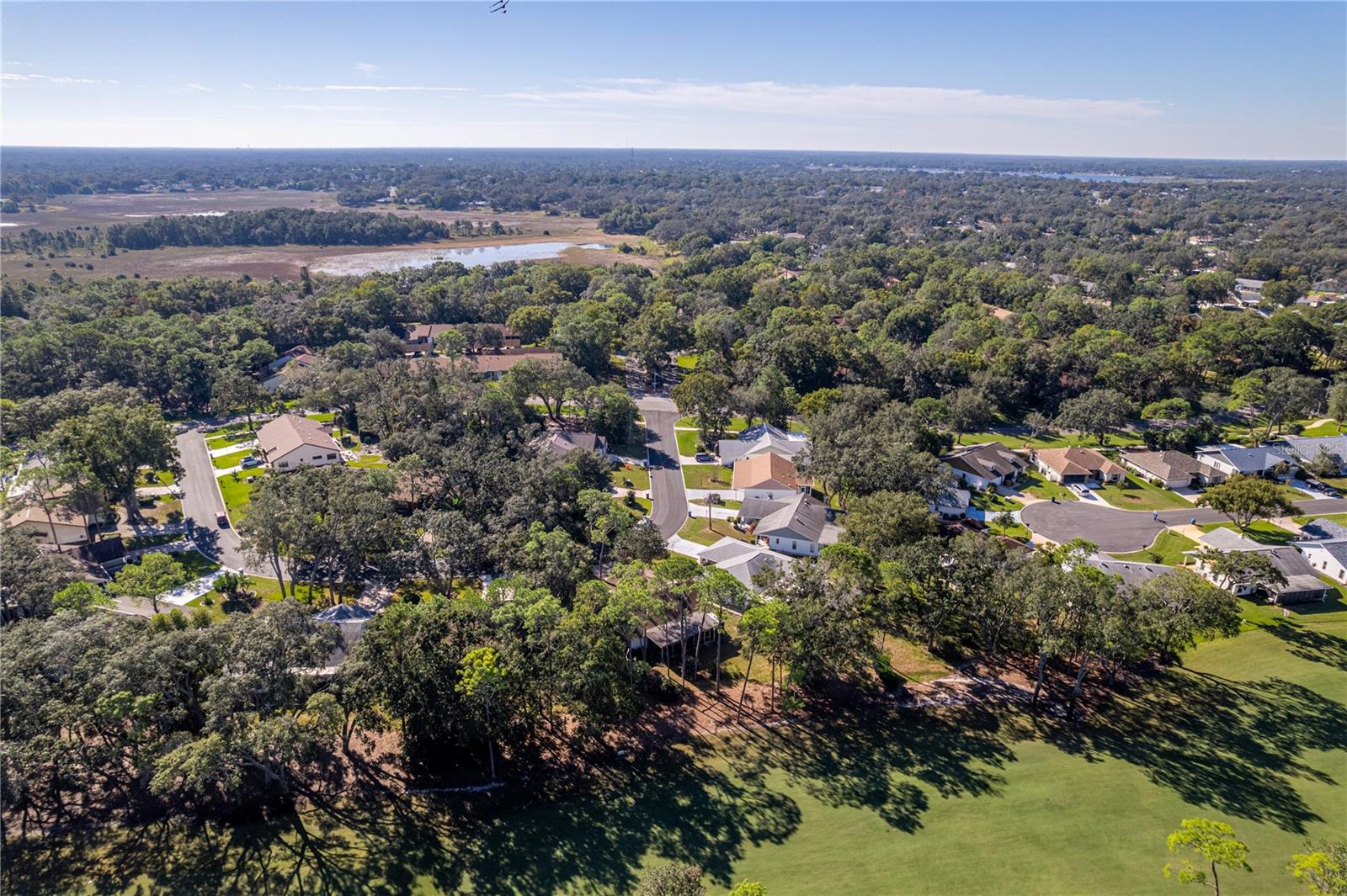 TIMBER PINES - Residential