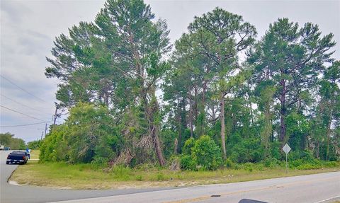 3099 STANTON AVE. AVENUE SPRING HILL FL 34609